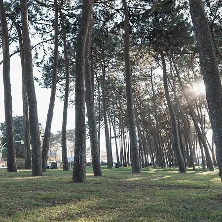 아파트 Samil Playa *