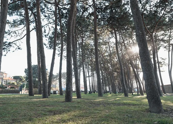 Lägenhet Samil Playa *